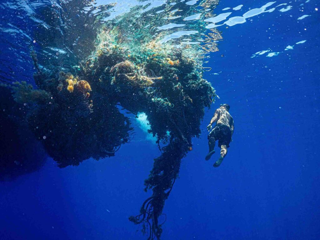 Diver next to nets