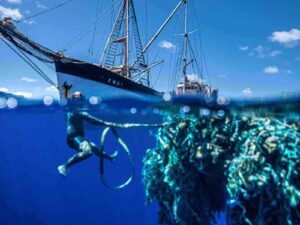 Read more about the article Hawaii Group Removes Record Amount of Plastic From The Great Pacific Garbage Patch