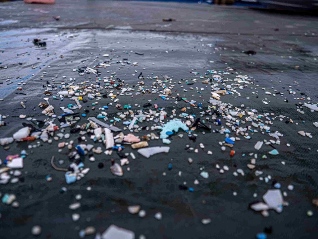 Microplastics captured from the ocean surface from the great pacific garbage patch